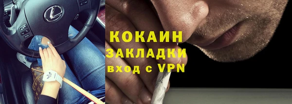 бошки Бронницы