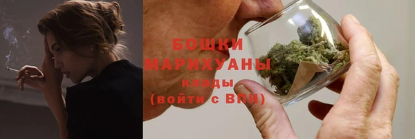 бошки Бронницы