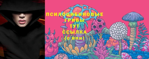 СК Богданович