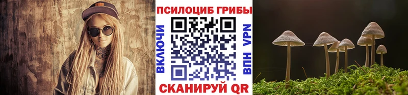 Псилоцибиновые грибы MAGIC MUSHROOMS  продажа наркотиков  Наро-Фоминск 